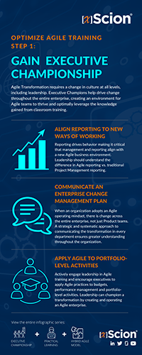 Optimize Agile Training with Executive Championship Infographic